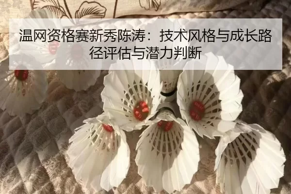 温网资格赛新秀陈涛：技术风格与成长路径评估与潜力判断