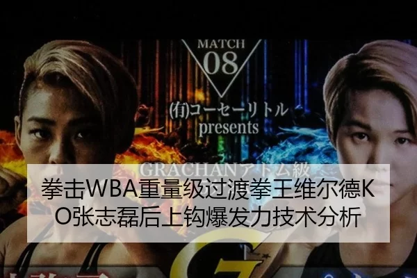 拳击WBA重量级过渡拳王维尔德KO张志磊后上钩爆发力技术分析