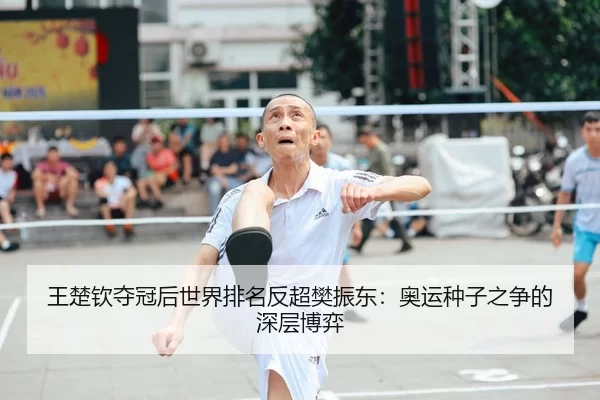 王楚钦夺冠后世界排名反超樊振东：奥运种子之争的深层博弈